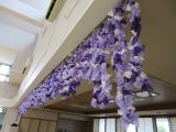 5月のレク活動報告☆